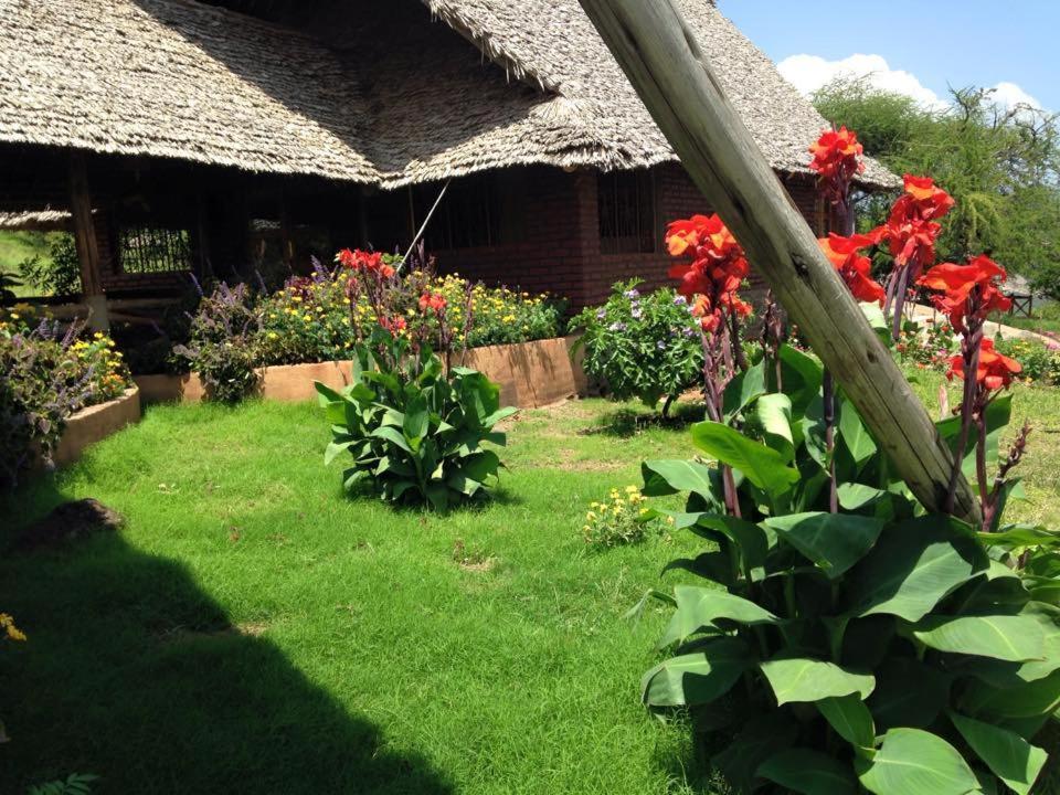 African Sunrise Lodge And Campsite Mto wa Mbu Eksteriør billede