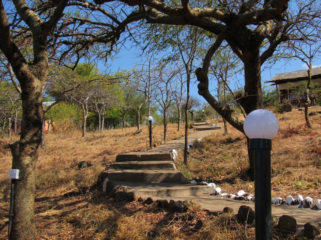 African Sunrise Lodge And Campsite Mto wa Mbu Eksteriør billede